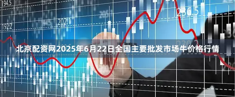 北京配资网2025年6月22日全国主要批发市场牛价格行情