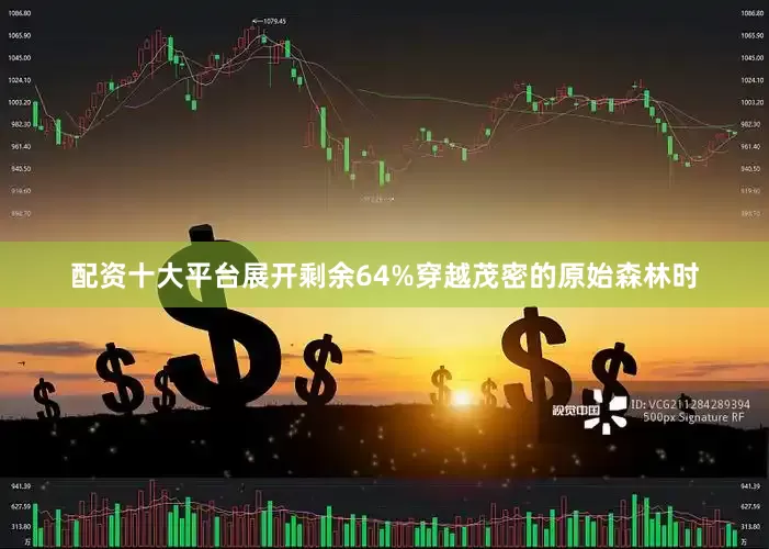 配资十大平台展开剩余64%穿越茂密的原始森林时