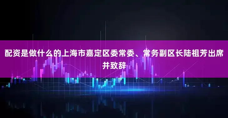 配资是做什么的上海市嘉定区委常委、常务副区长陆祖芳出席并致辞