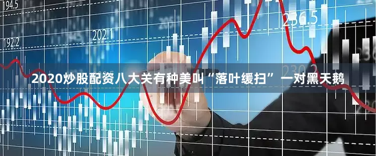 2020炒股配资八大关有种美叫“落叶缓扫” 一对黑天鹅