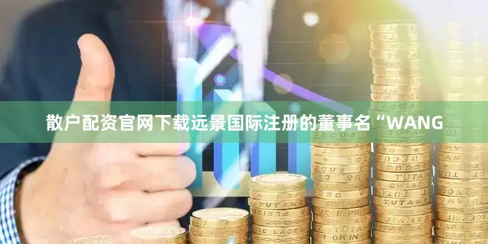散户配资官网下载远景国际注册的董事名“WANG